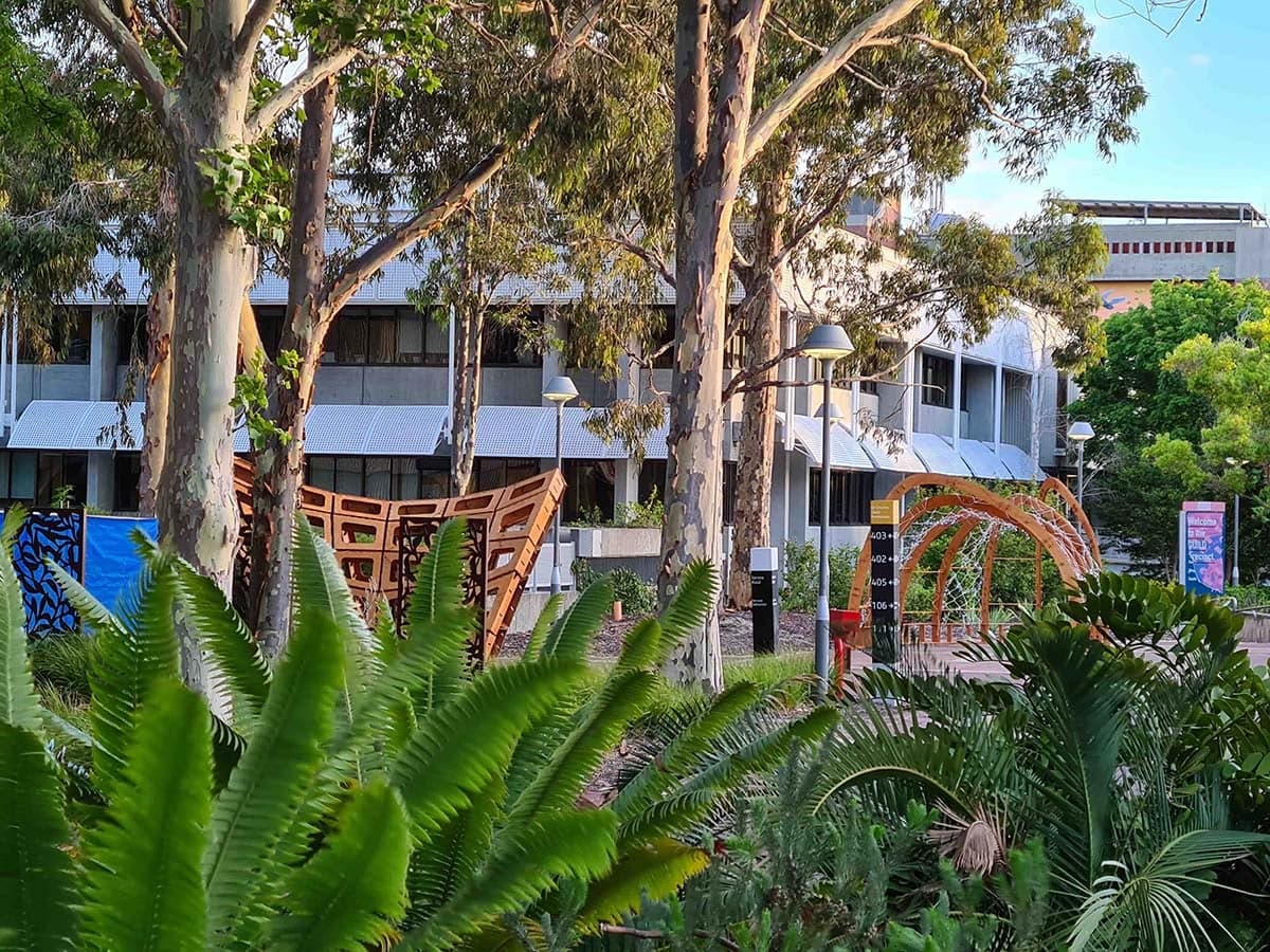 Curtin Pavilions — Timber Pavilions, Curtin University Campus, Western Australia