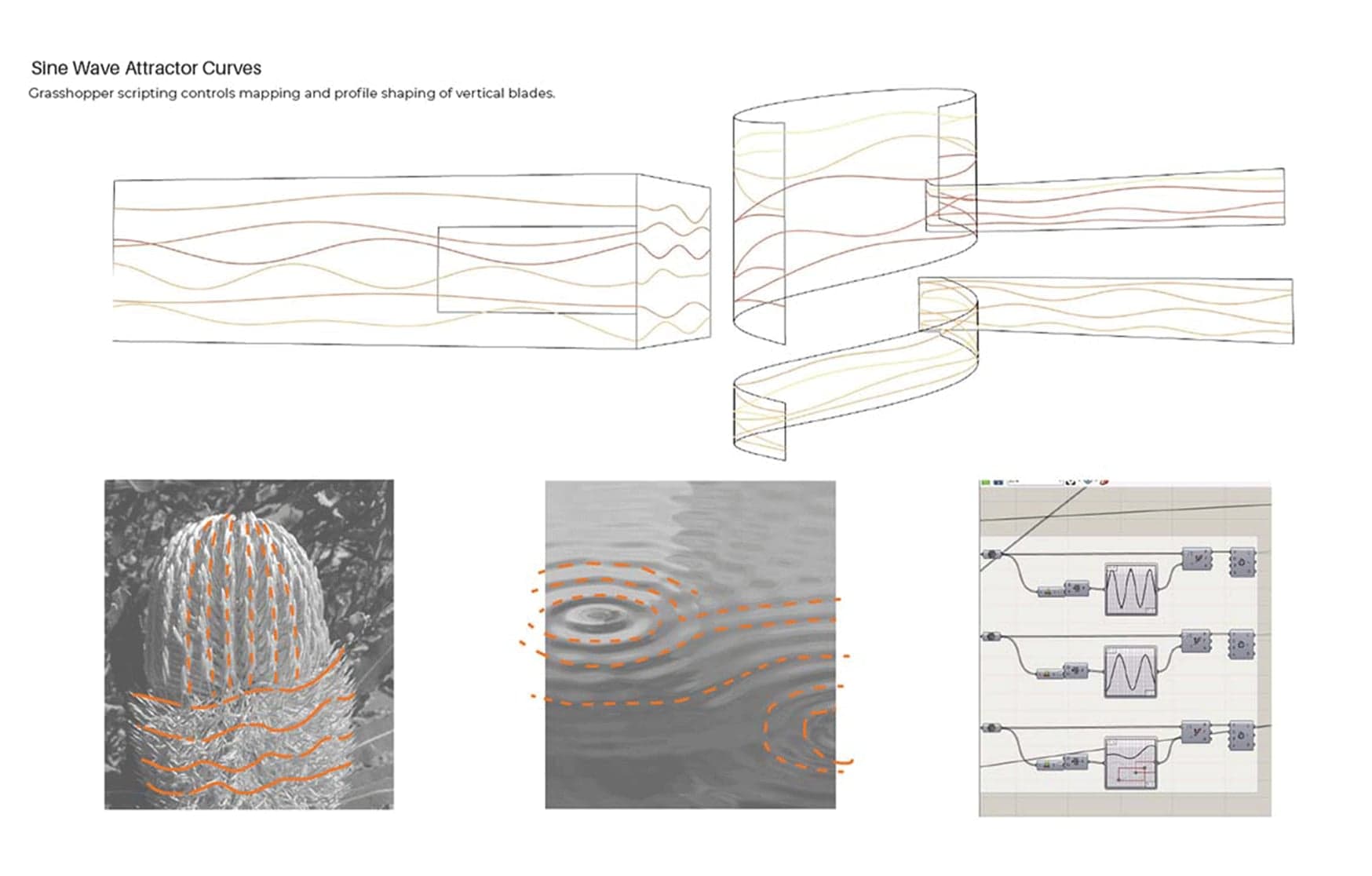 Anthesis — Percent for Art: Facade Screen, Piara Waters Secondary College