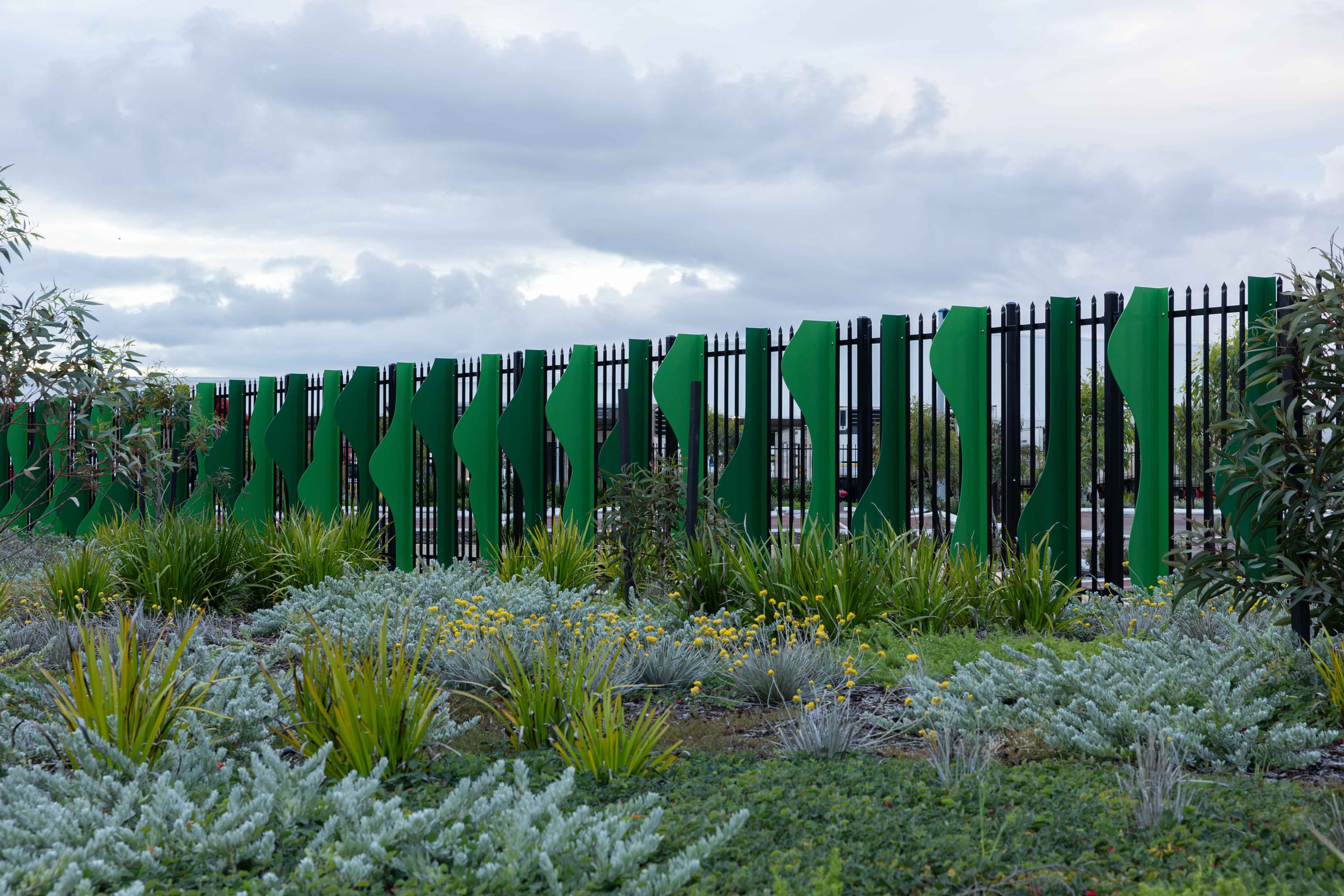Green aluminium fins of Whispering Woodlands rise behind flowering native plantings in Hazelmere.