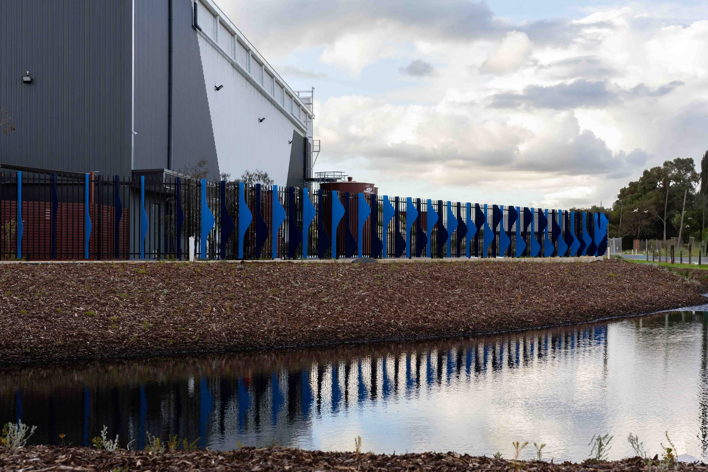 Blue fins of Cascading Creeks reflected in a stormwater pond beside the Stirling Crescent verge in Hazelmere.